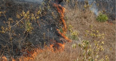  हात्तीवनमा लागेको आगो नियन्त्रणमा लिने प्रयास जारी 