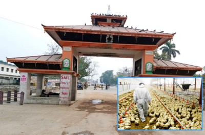  बर्ड फ्लूको जोखिम देखिएपछि भारतीय सीमामा उच्च सर्तकता 