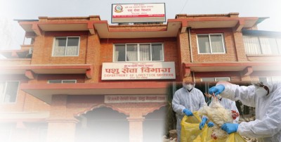  एकसाताभित्र बर्डफ्लुबाट प्रभावित किसानलाई करिब ५२ करोड राहत उपलब्ध गराइने 