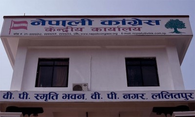  कांग्रेस केन्द्रीय कार्यसमितिको बैठक 