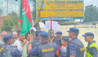  बक्यौता भुक्तानीको माग गर्दै दुग्ध किसान आन्दोलनमा 