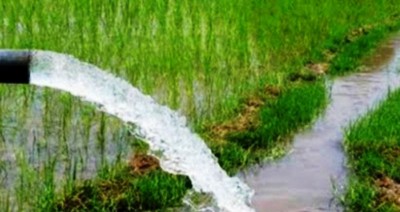  डीप बोरिङमार्फत ३०० हेक्टरमा सिँचाइ 