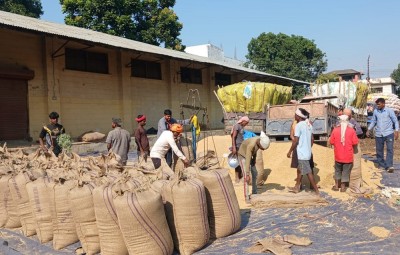  धान बिक्रीबाट बाँकेका किसानले पाए ११ करोड बढी रकम  