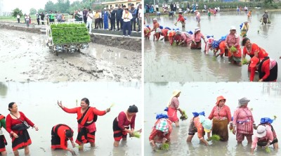  रोपाइँ दिवस :  खुमलटारमा ‘ड्रोन’मार्फत मल छरेर ‘मेसिन’मार्फत धान रोपियो 