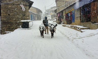  हिमपातले हुम्लाको जनजीवन प्रभावित (फोटोसहित) 