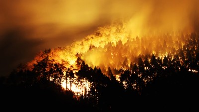  जापानमा ५० वर्षयताकै भीषण डढेलो, वर्षा र हिमपातले राहत दिने आशा 
