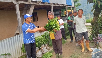  खावाको कृषि पकेट क्षेत्रमा सुन्तलाको विरुवा वितरण 