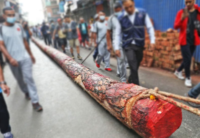  भोटाहिटी ल्याइएको इन्द्रध्वजको प्रतीक(लिङ्गो) शनिबार नगर प्रवेश गराइने 