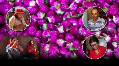  मखमली फूलको मालाको मूल्य निर्धारण गर्न किसानको माग, उचित मूल्य नपाएको गुनासो 