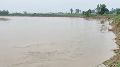 कैलालीको मोहना र सहायक नदीहरुमा पानीको सतह बढ्यो, केही घर डुबानमा 