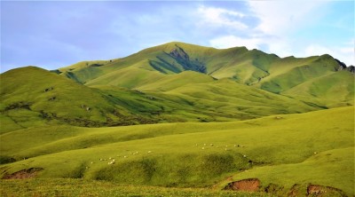  सम्पर्कविहीन तीर्थयात्री पाटनको भेडीगोठमा भेटिए 