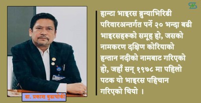  हन्टा भाइरस सङ्क्रमण र विपद्को जोखिम 