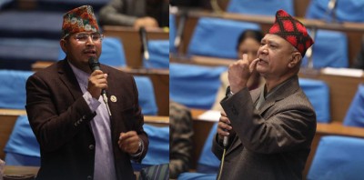  संसद्‍मा पन्त र शाहीबीचको लफडाको कारण के थियो ? 
