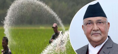 प्रधानमन्त्रीले भने- साल्ट ट्रेडिङ र कृषि सामग्री कम्पनीमा पर्याप्त मल छन्, कतै अभाव भए भन्नू 