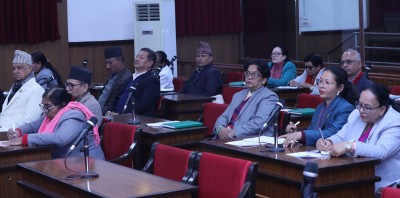  छानबिन गर्न गठित आयोगको प्रगतिबारे सदनलाई जानकारी गराउन माग 