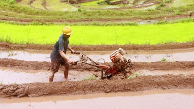  बसाइँसराइले रित्तिँदै गाउँ, गोरुको ठाउँमा किसानलाई कृषि औजार 